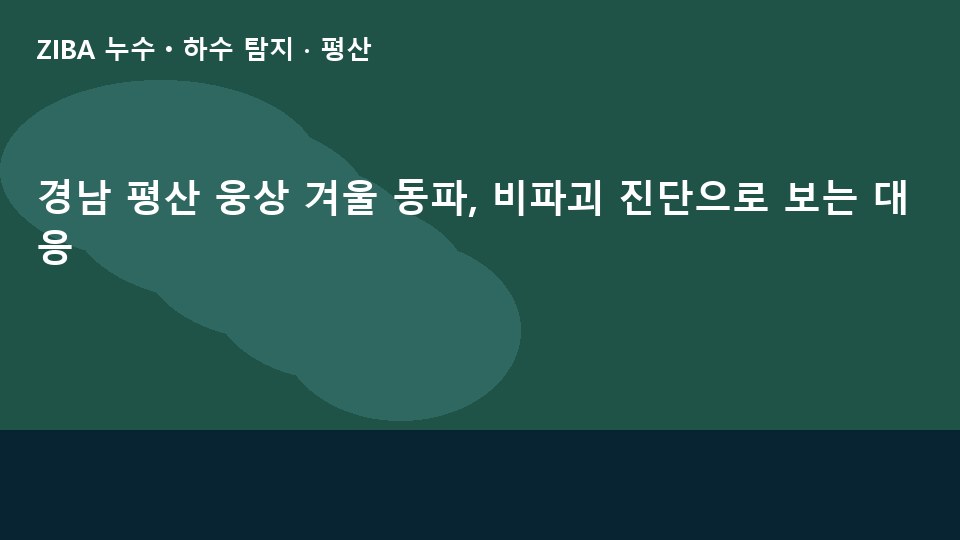 경남 평산 웅상 겨울 동파, 비파괴 진단으로 보는 대응