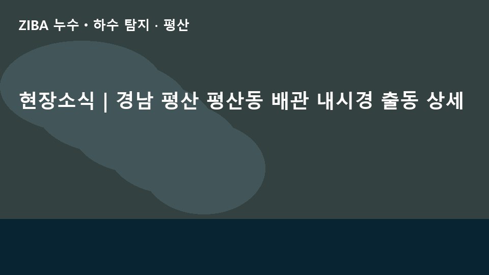 현장소식 | 경남 평산 평산동 배관 내시경 출동 상세